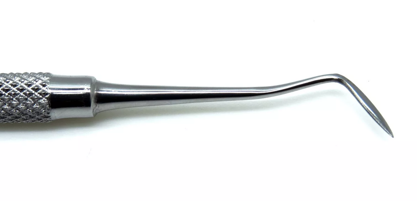 Hollenback Carver