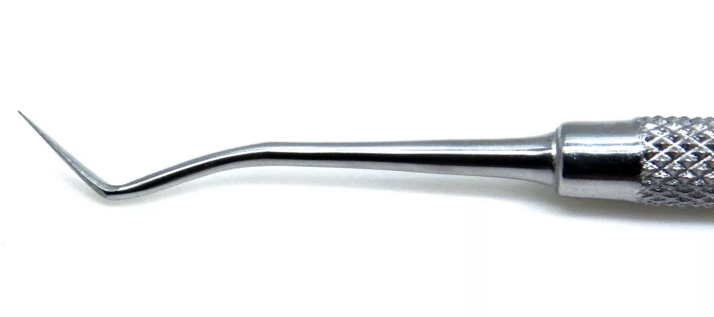 Hollenback Carver